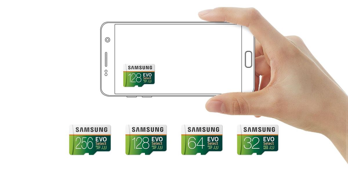 Samsung - Carte Mémoire Micro SD EVO Plus 256 Go