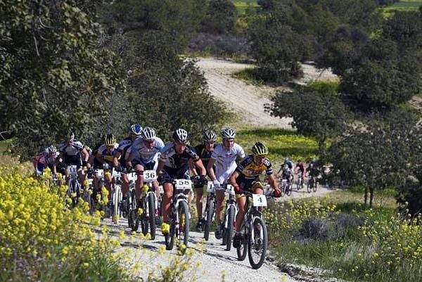 Cyclists racing at the Aphrodite Trophy in Cyprus.