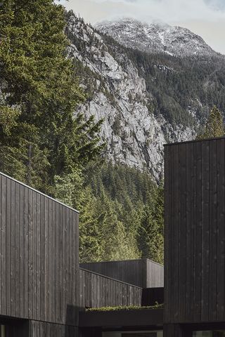 Camera House by Leckie Studio exterior detail with dark timber