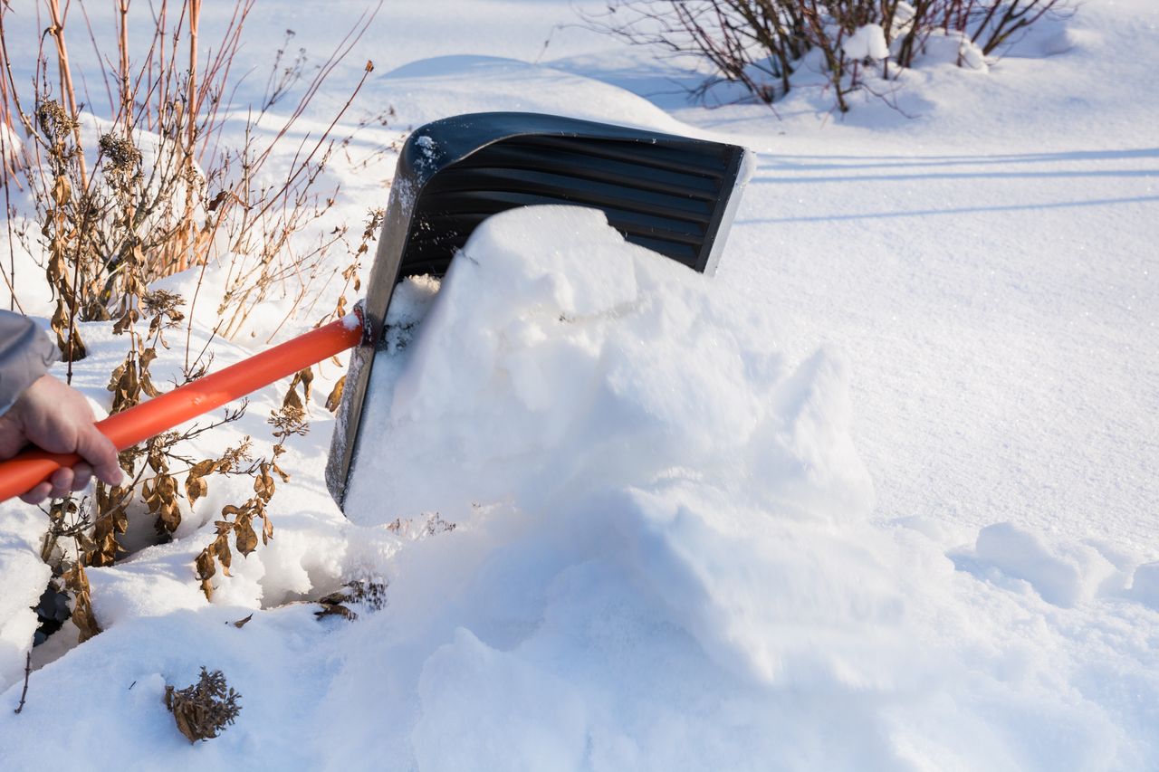 Snow and shovel.