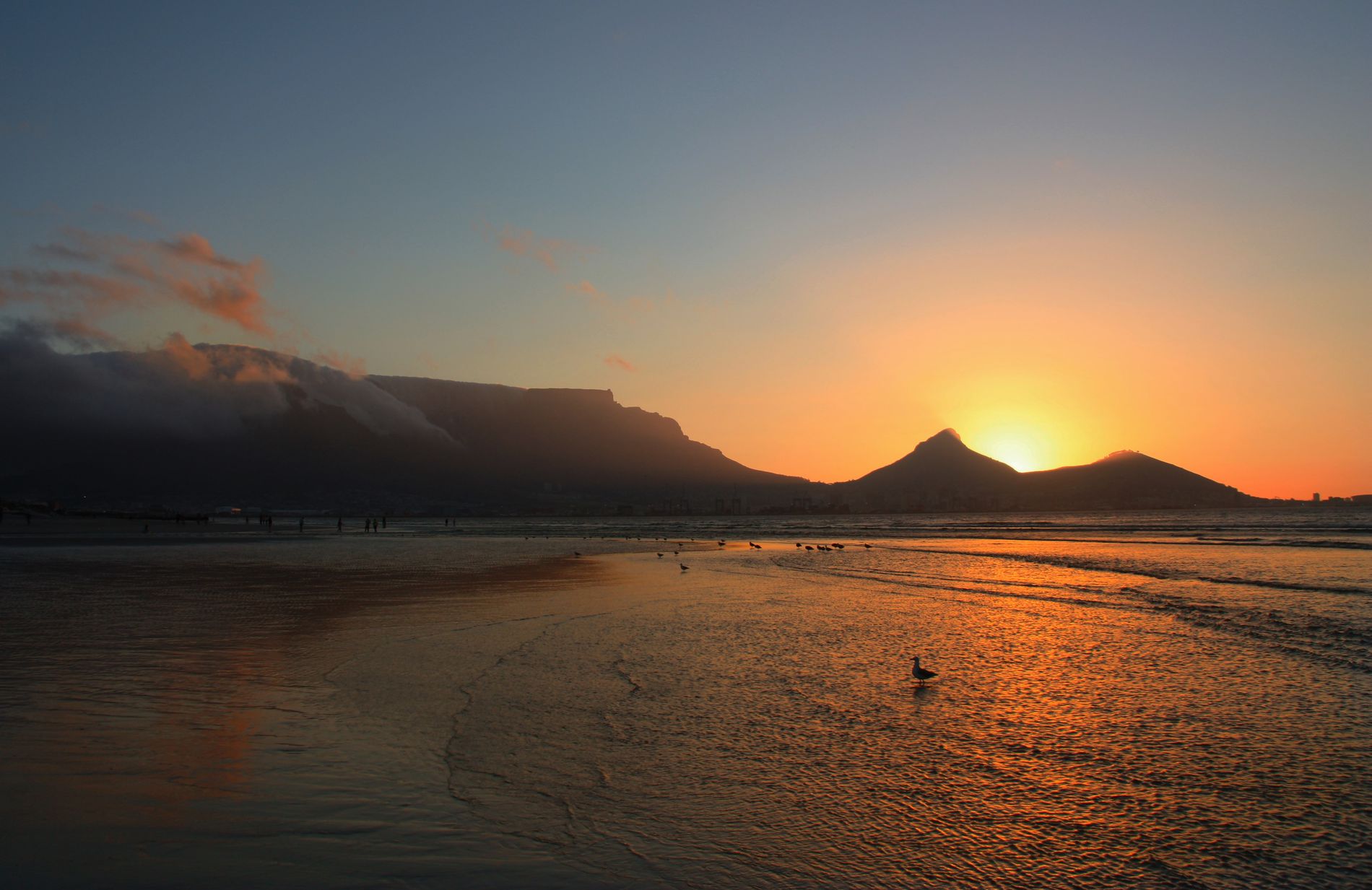 GuruShots - Nature&rsquo;s Masterpiece 2026