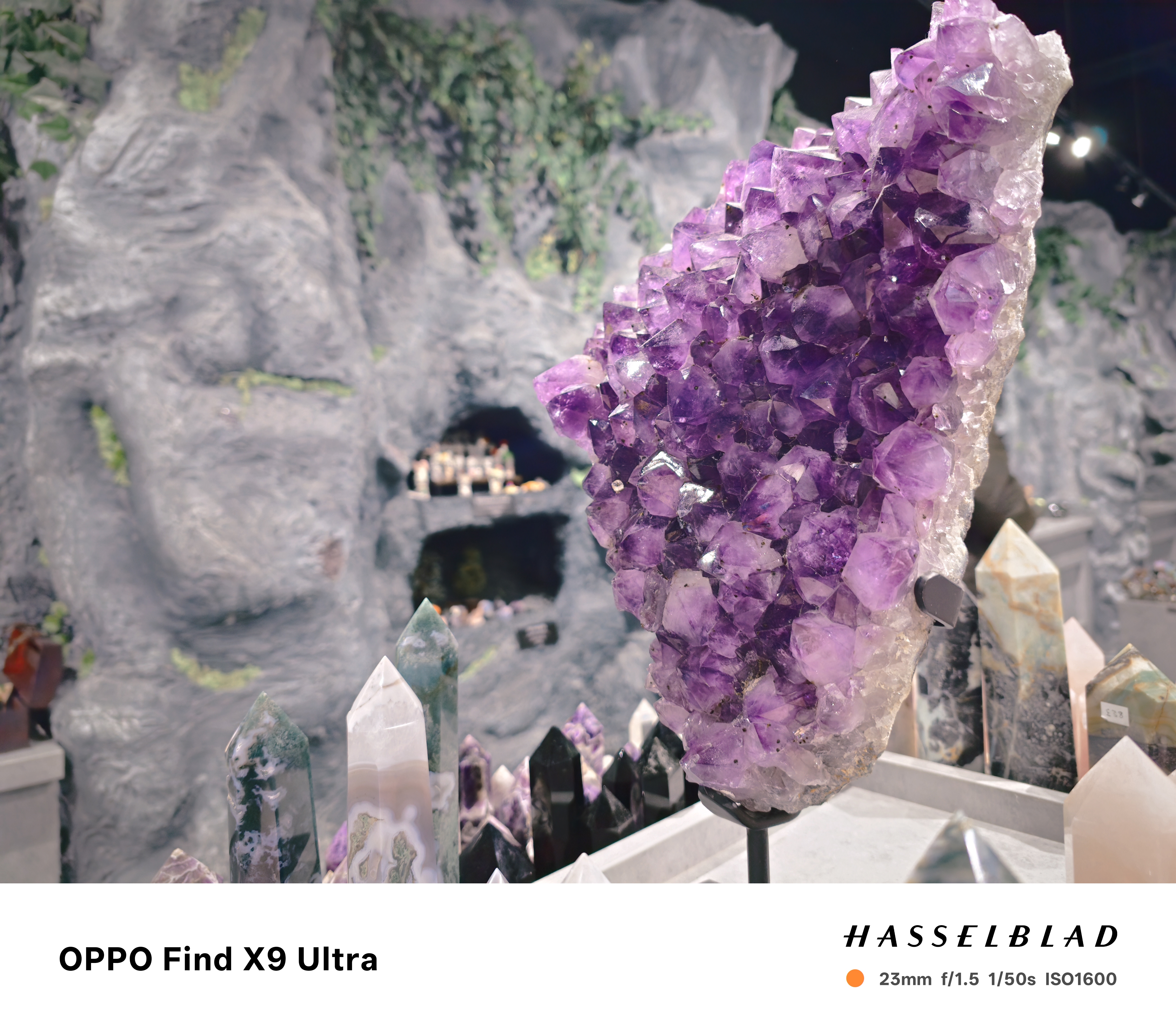 Oppo Find X9 Ultra Sample Photo