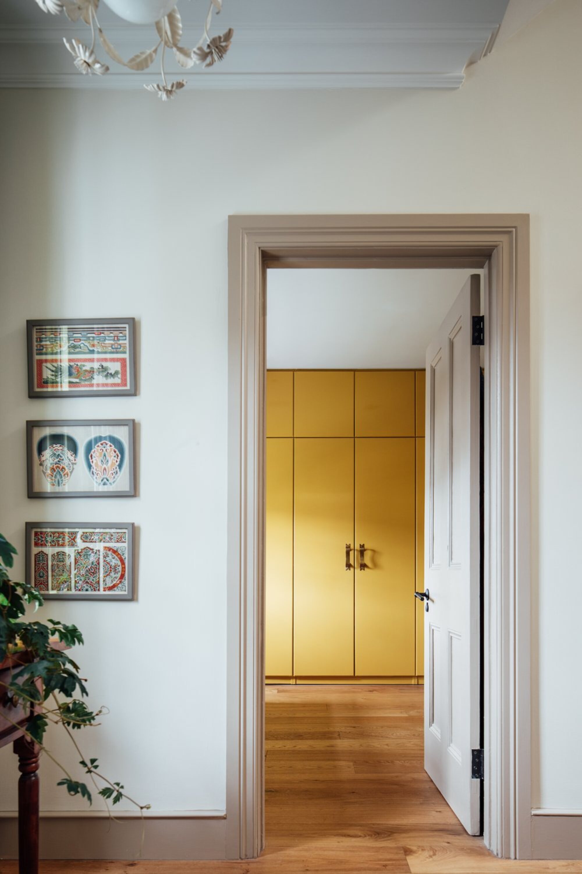 hallway with timber flooring, yellow cabinetry, white walls and beige trim with pictures hung on the wall and the plant