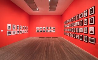 Wooden floor, red walls, white ceiling with lighting, black and white portrait photographs in rows along the walls