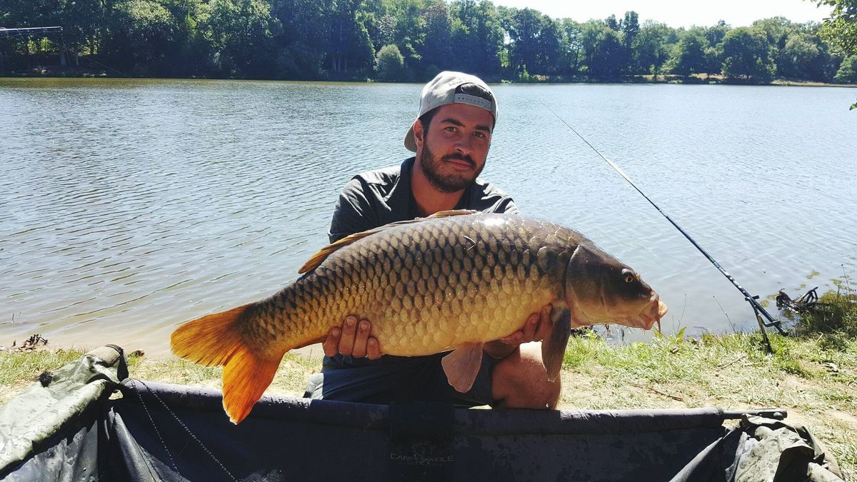 How To Catch Carp The Best Tips For Catching Big Carp Advnture