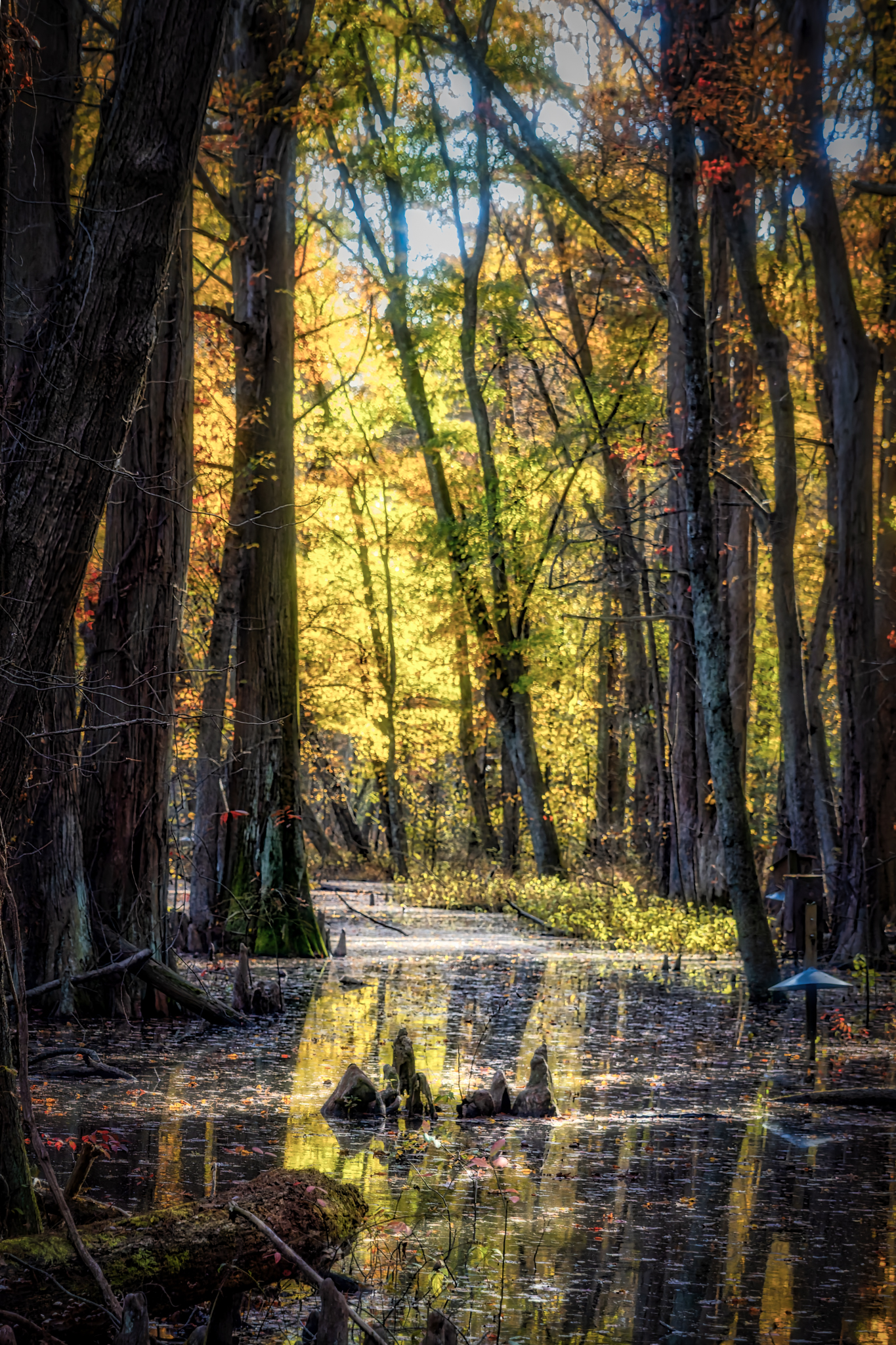 GuruShots - Vivid Landscapes March 2026