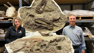 Two researchers stood next to fossils
