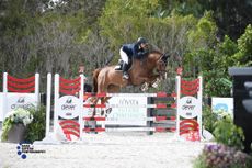 This year's Hall of Fame inductee Beezie Madden is still competing - pictured at the Winter Equestrian Festival this season