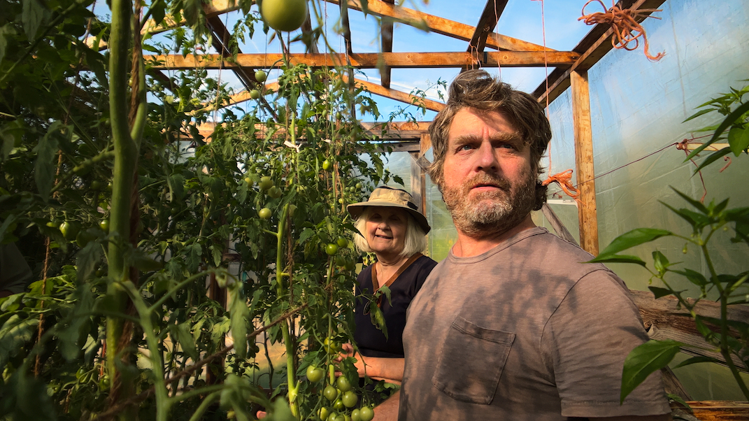 Zach Galifianakis stands in a greenhouse in a still from Netflix's "This Is a Gardening Show"