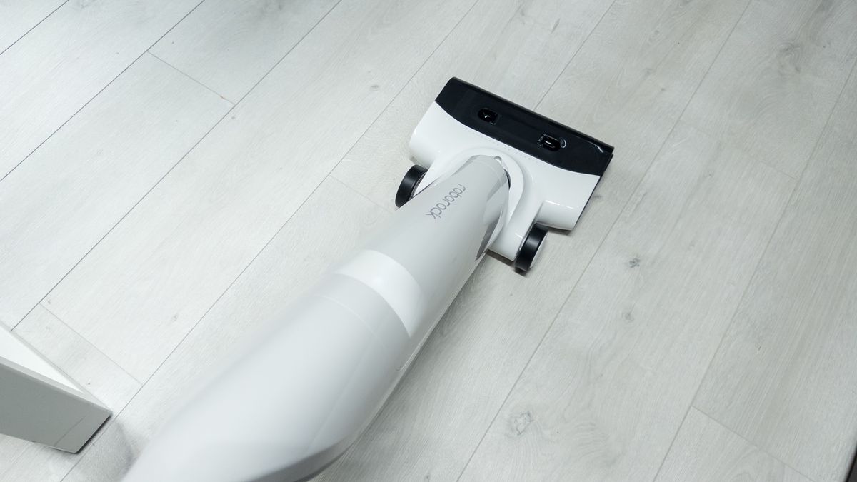 Roborock Flexi Lite