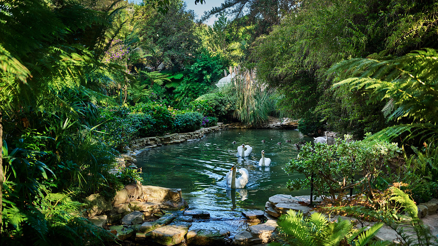 Swan Lake at the Hotel Bel-Air