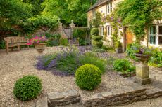 courtyard area in a cottage garden with lavender and a bench