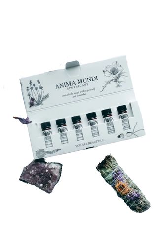 Sacred Trees Kit | 6 Essential Oils