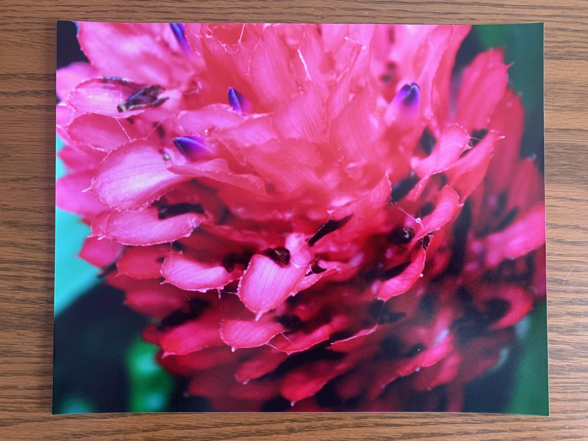 Nations Photo Lab Photo Printing