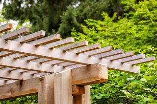 A close up of the corner of a wooden pergola with foliage in the background