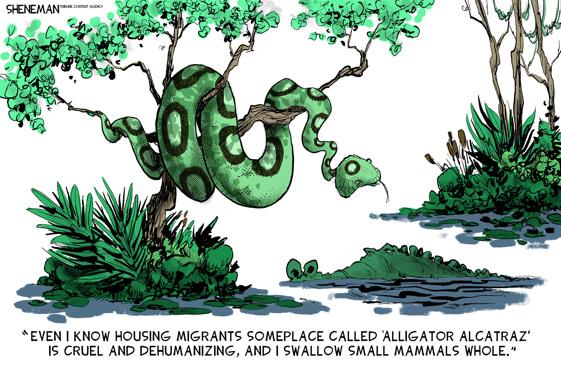 This political cartoon depicts a swamp. There is large snake hanging from a tree above an alligator in the water. The snake says, “Even I know housing migrants someplace called ‘Alligator Alcatraz’ is cruel and dehumanizing, and I swallow small mammals whole.”