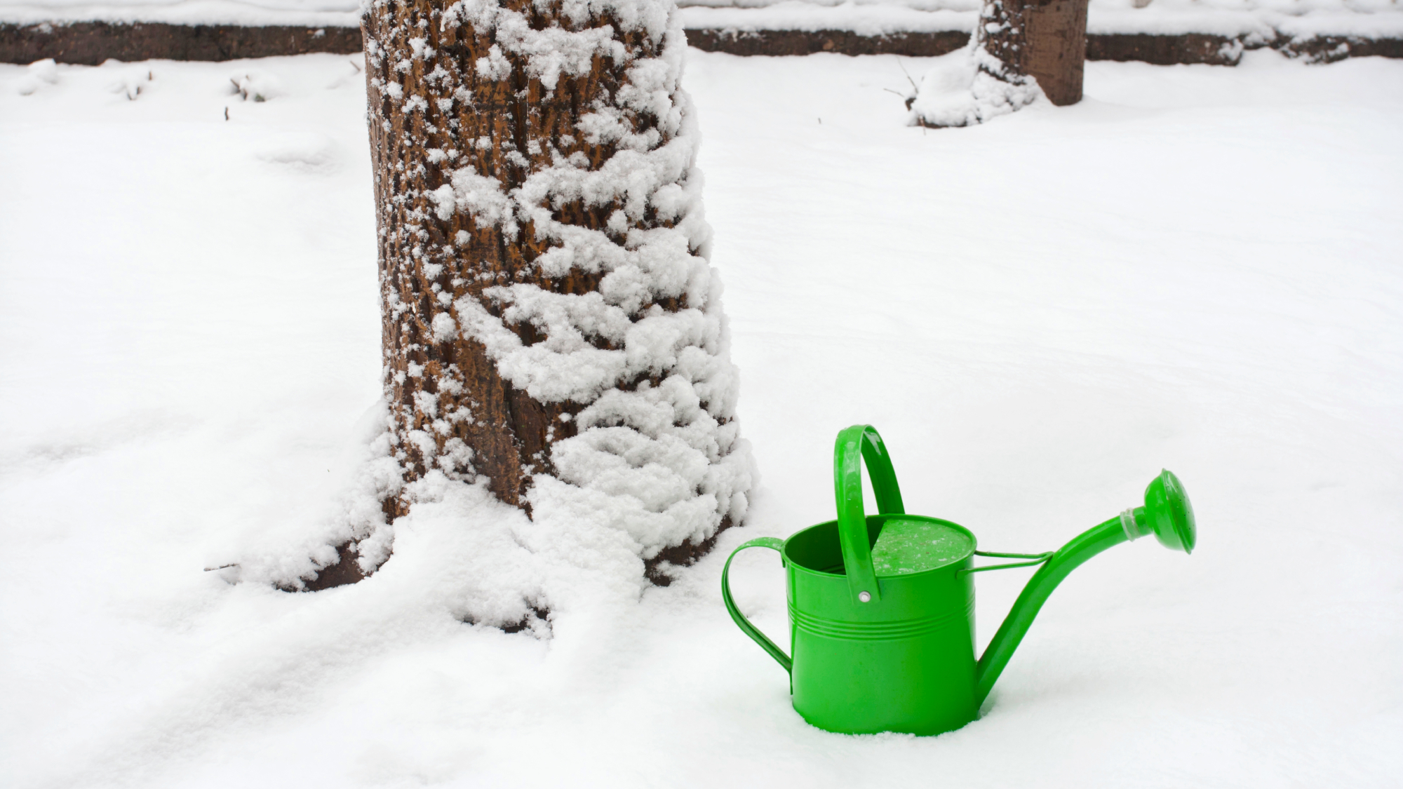 watering can in the snow
