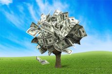 Money tree made of US dollars on grass against a blue sky