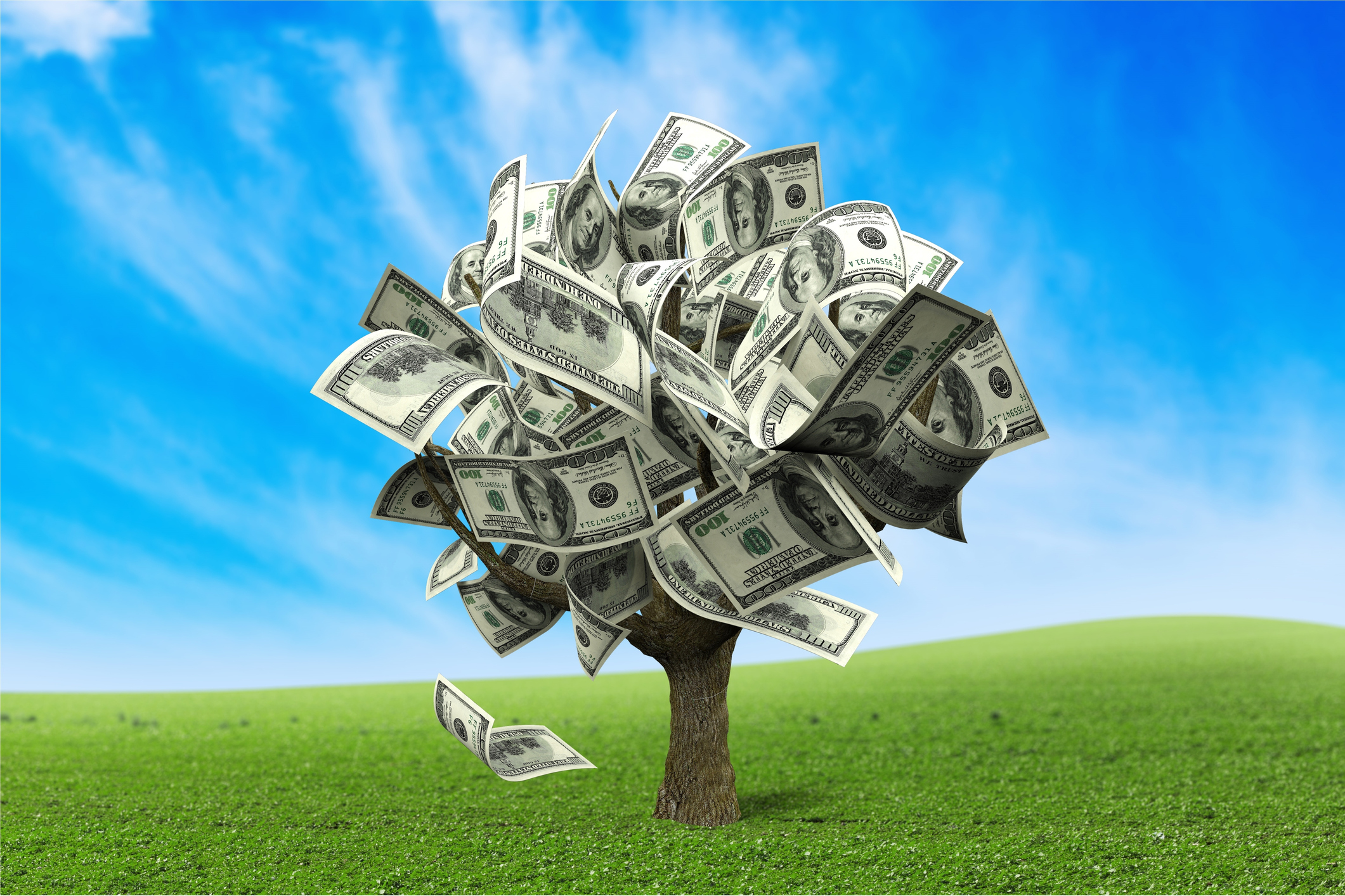 Money tree made of US dollars on grass against a blue sky