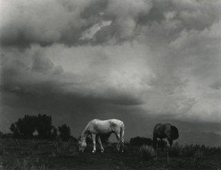 Paul Strand