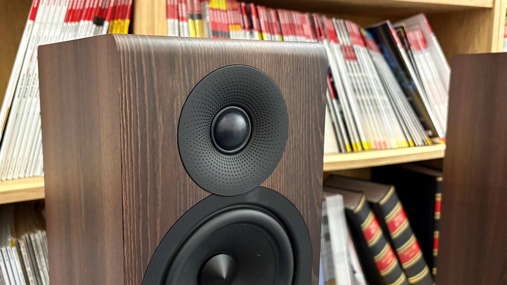 Acoustic Energy AE309 Mk2 floorstanding speakers in front of bookcase, detail of tweeter on one of cabinets