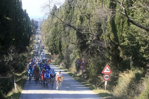 The peloton in Tirreno-Adriatico
