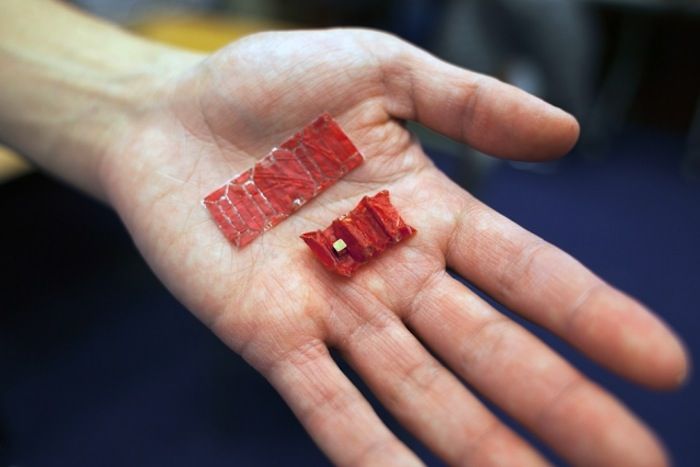 Ingestible Origami Robot