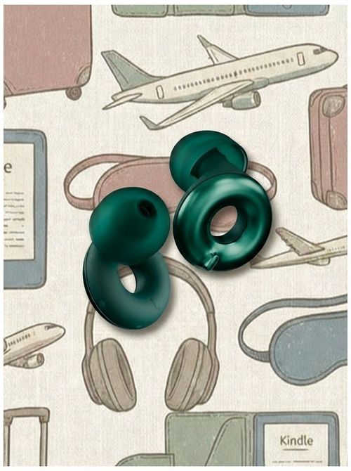 Switch 2 Adjustable Ear Plugs