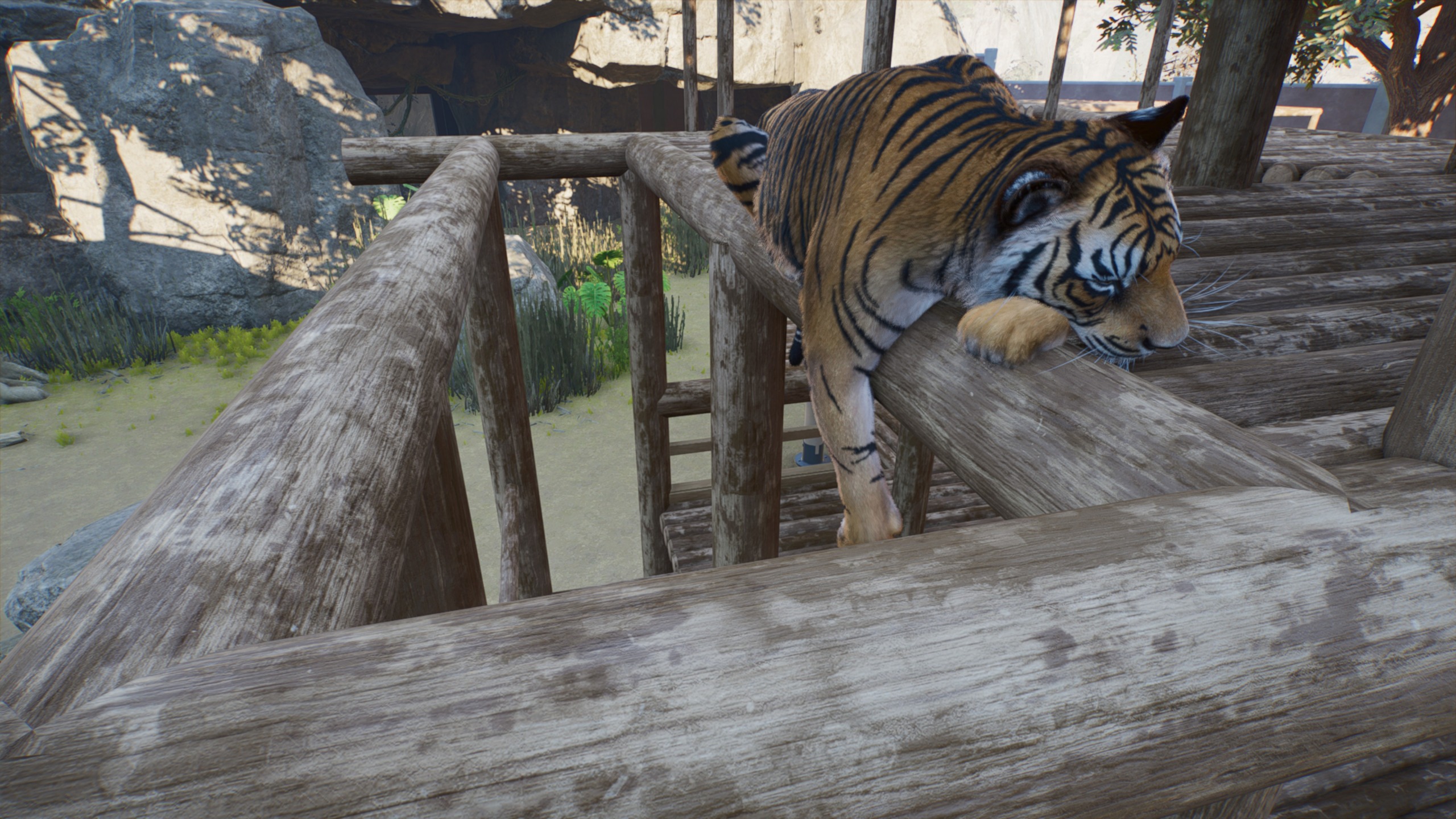 Planet Zoo 2 review