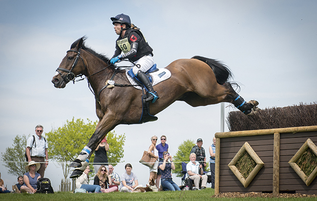 Willberry Wonder Pony sale