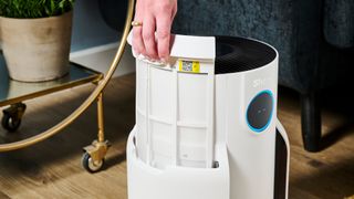 A white Shark NeverChange air purifier showing one of the DebrisDefence filters being removed.