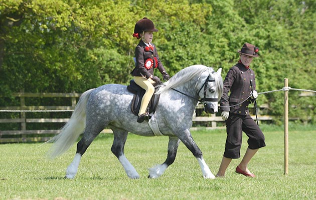 TSR Spring Show 07 05 2018
