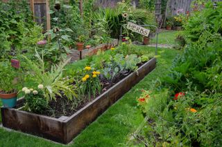 no dig gardening herb garden raised bed