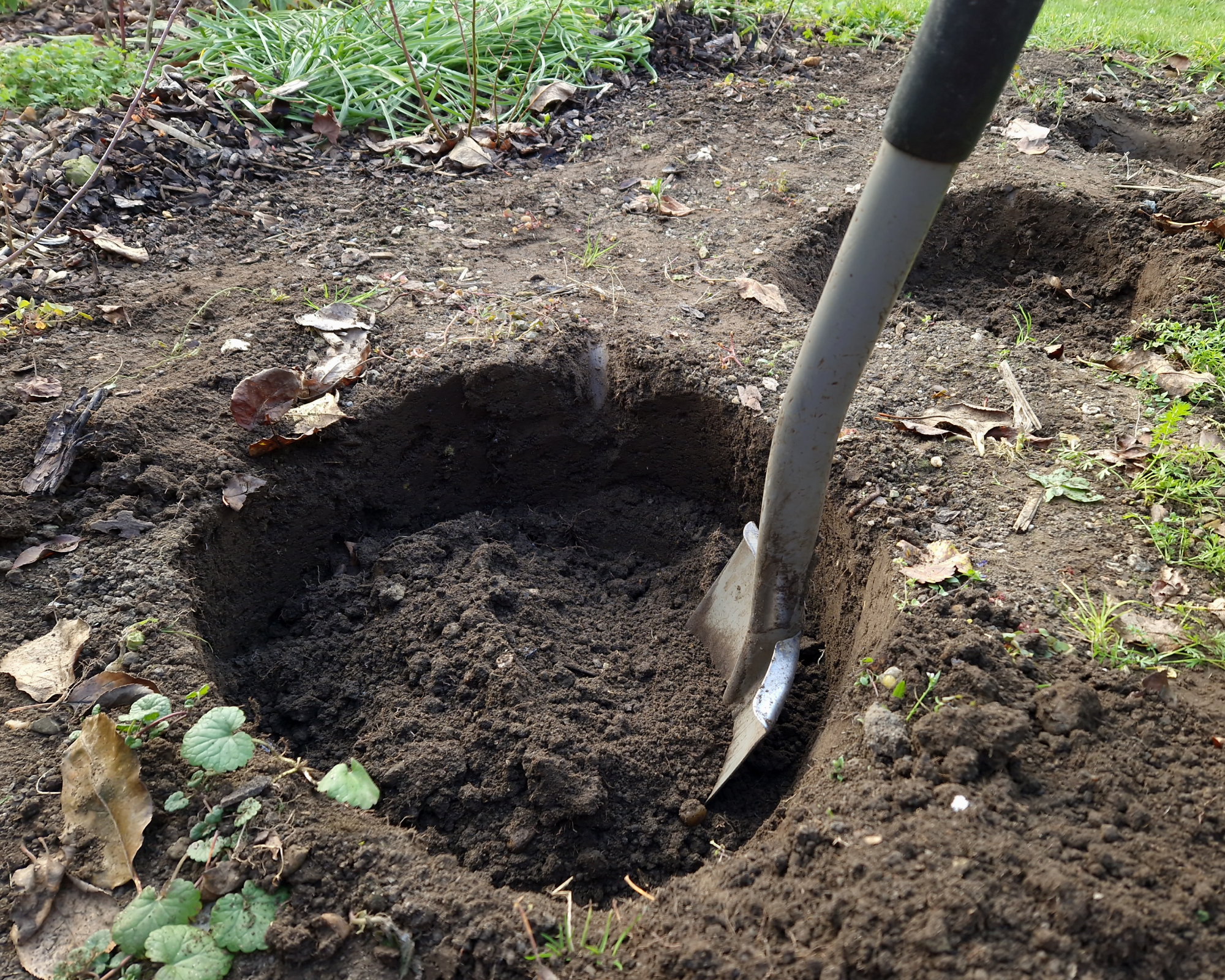 Shovel in hole in garden