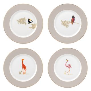 designed plates with white background