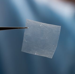 A wound dressing made from human amniotic membrane.