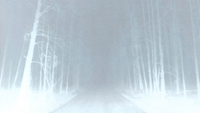 The Road (2006)