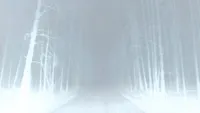 The Road (2006)