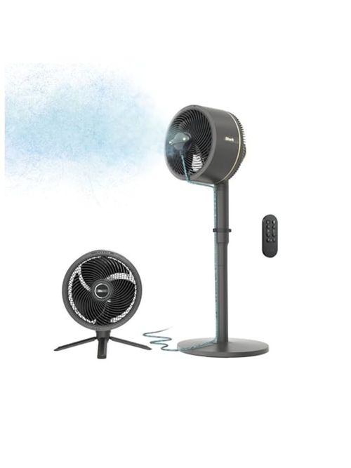 Shark Flexbreeze Fan