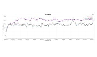 Instinct Fenix HR graph