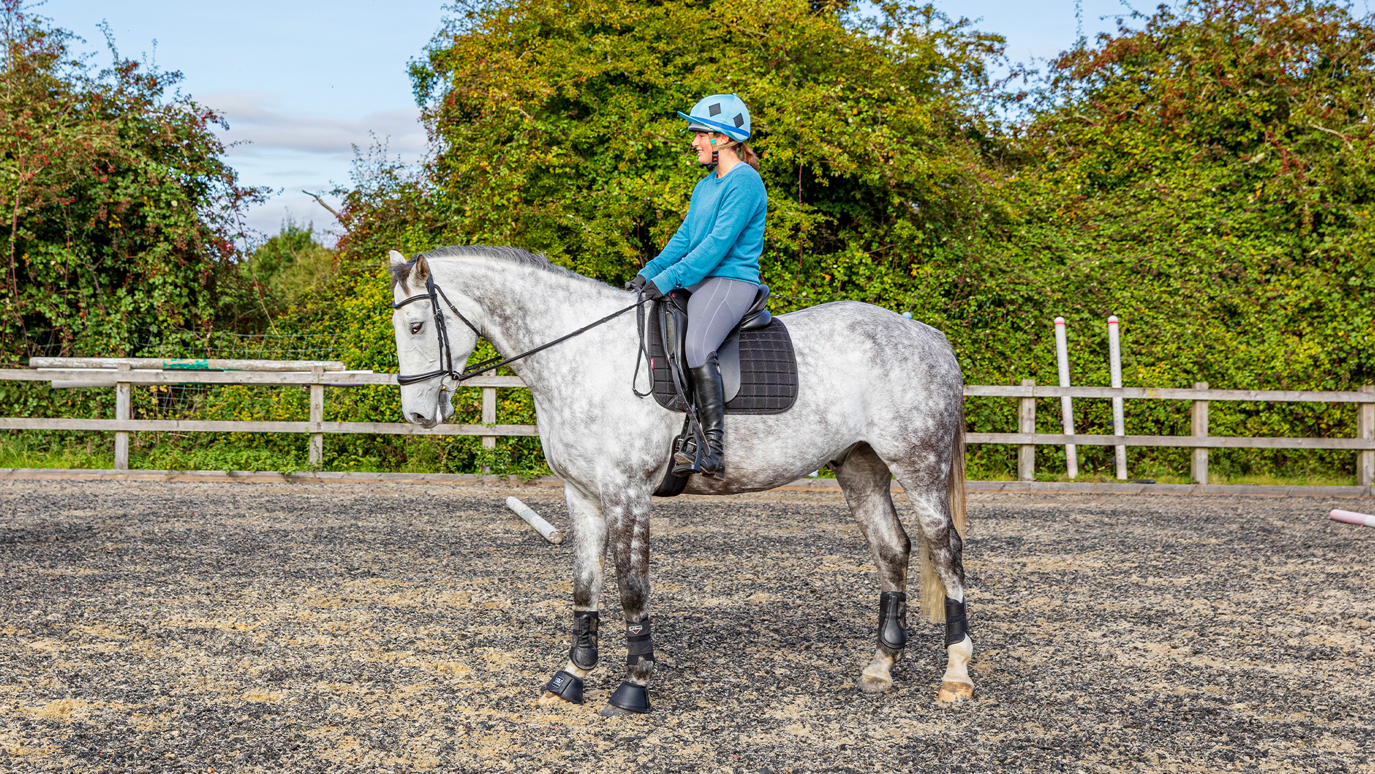Rider on grey horse halting