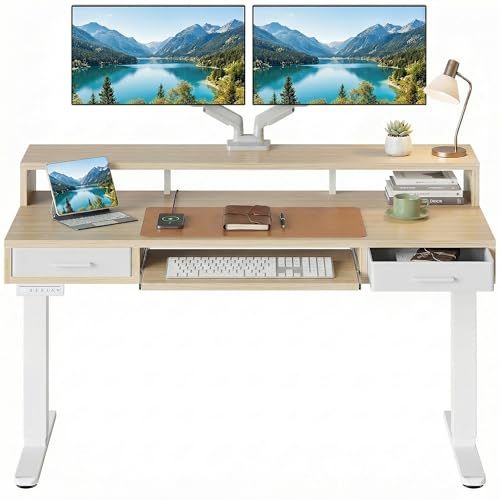 Electric Standing Desk With 2 Drawers 