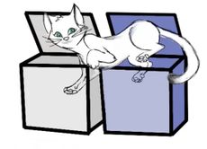 Schr&ouml;dinger's "cat" can be in two boxes at once, new research using light particles reveals.