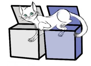Schrödinger's "cat" can be in two boxes at once, new research using light particles reveals.