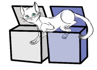 Schr&ouml;dinger's "cat" can be in two boxes at once, new research using light particles reveals.