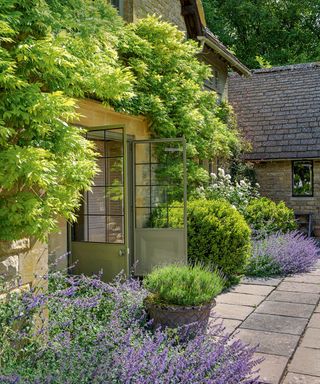 garden attached with house contains lavender flowers and plants