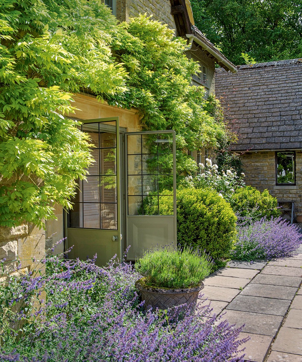 garden attached with house contains lavender flowers and plants