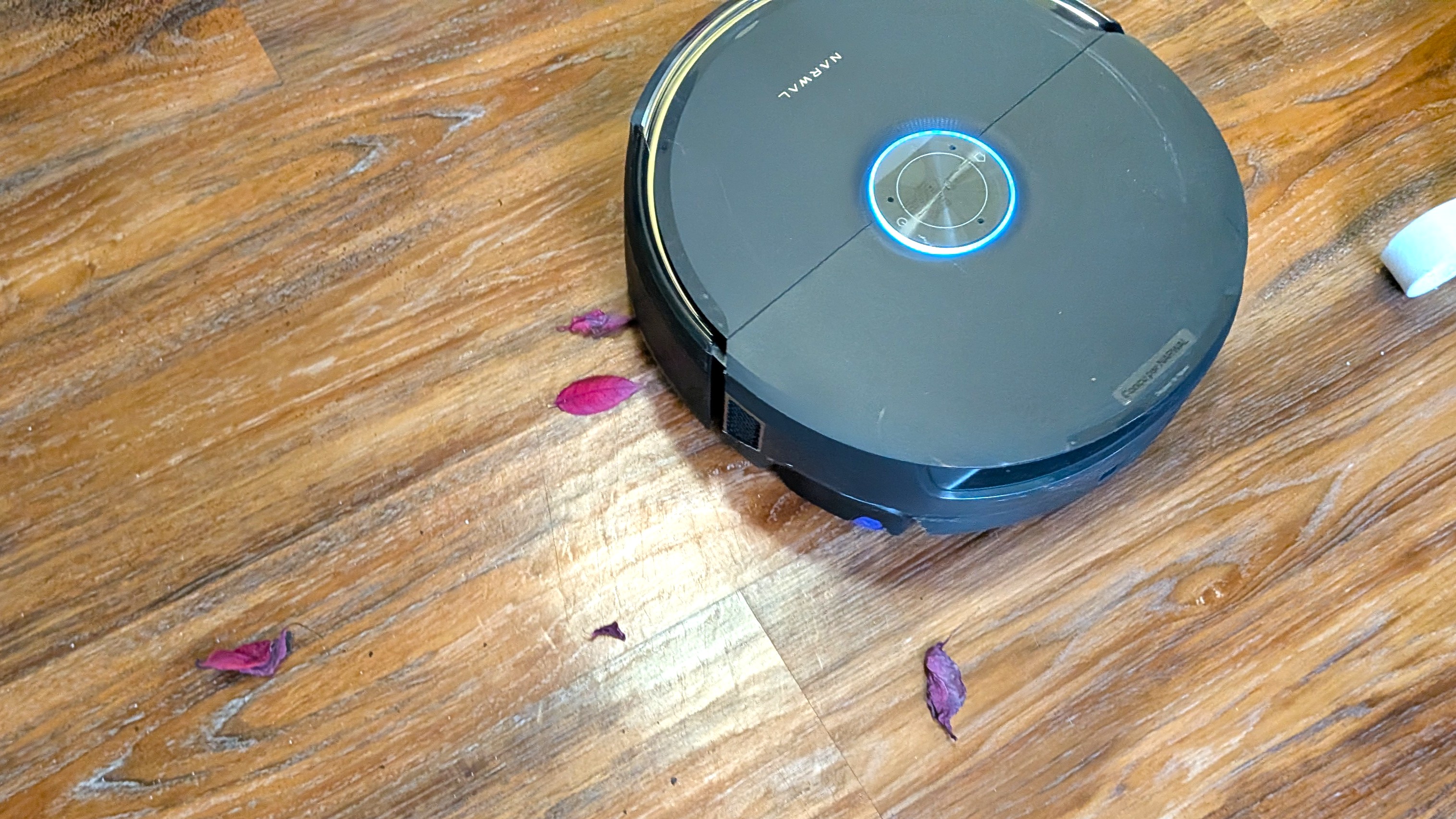 Narwal Flow 2 robot vacuum cleaning up dried flower petals