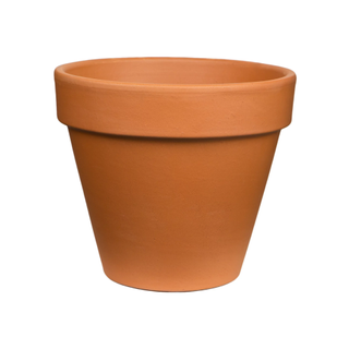 A terracotta planter pot