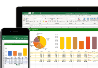 Microsoft 365 Excel on a phone and computer